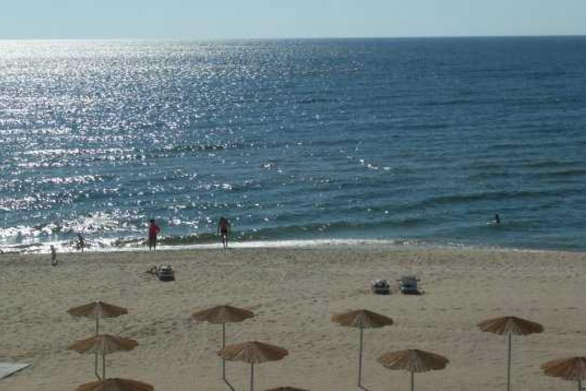 Каким будет курортный сезон-2016 в Крыму: надежды и реальность Каким будет курортный сезон-2016 в Крыму: надежды и реальность