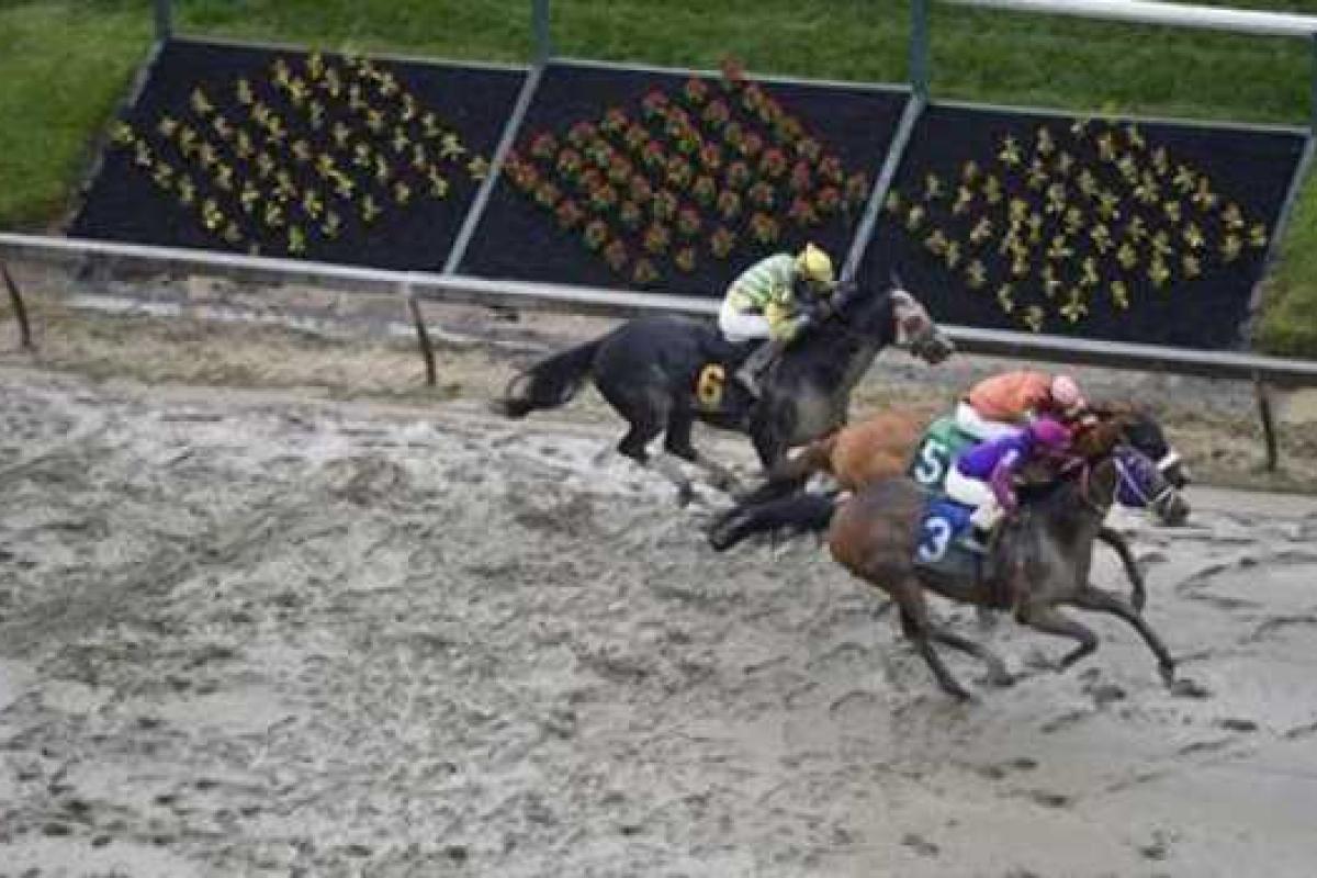 Первый день традиционных скачек в Балтиморе закончился трагически