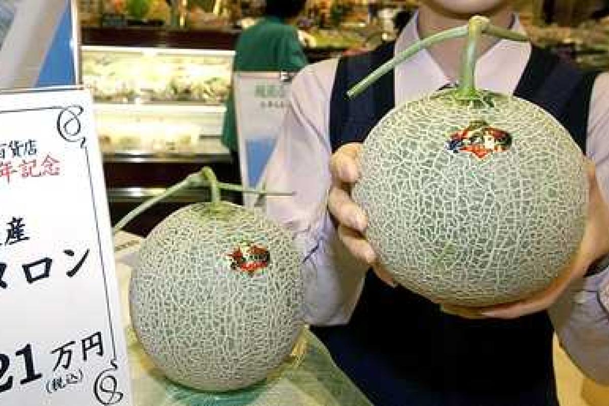 В Японии на аукционе продали две дыни за баснословные деньги