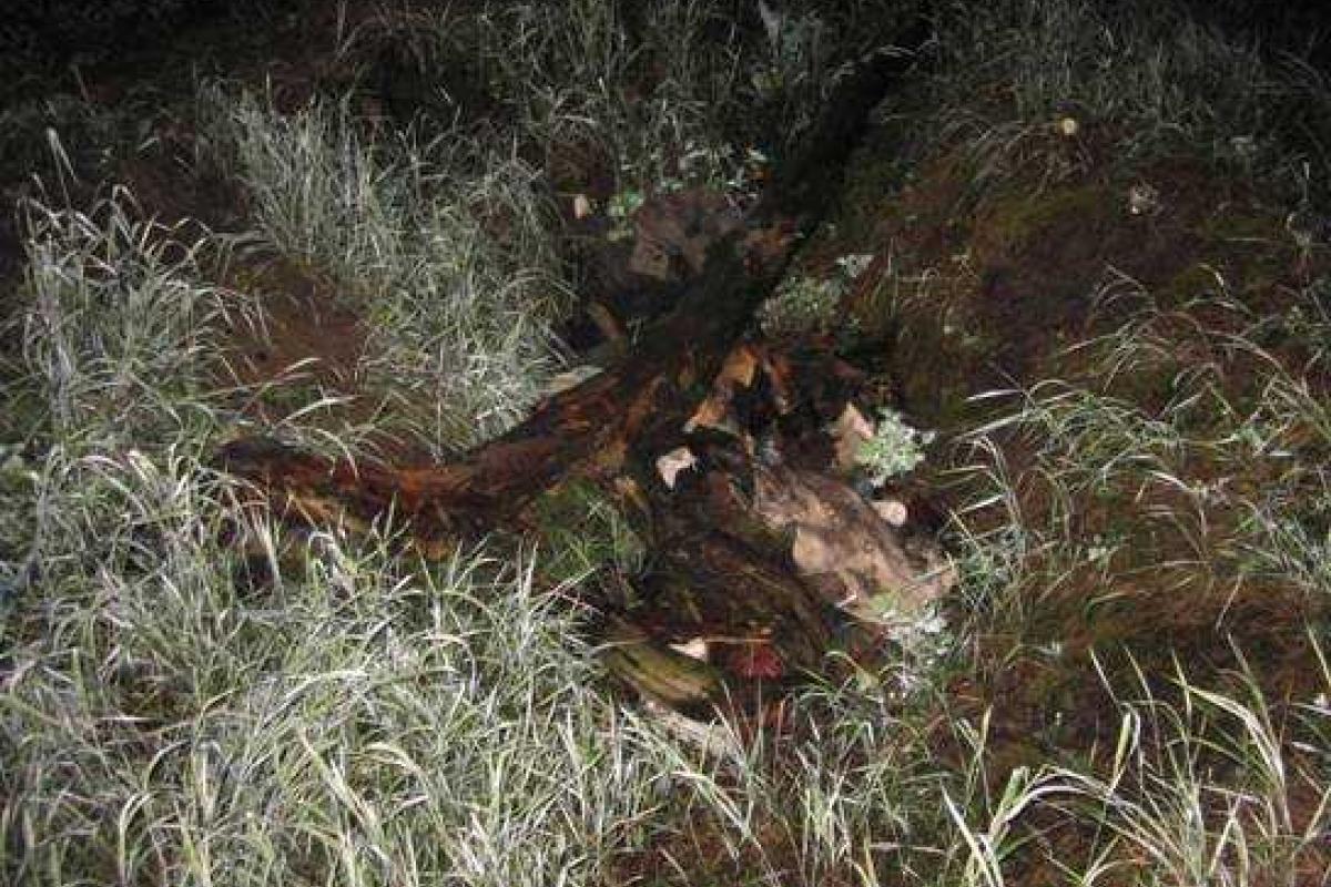 Любовь "до гроба": на Киевщине 16-летний парень задушил и обокрал свою возлюбленную Любовь "до гроба": на Киевщине 16-летний парень задушил и обокрал свою возлюбленную