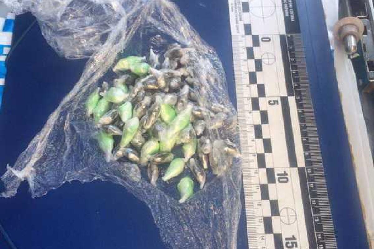 В Киеве у задержанного наркоторговца изъяли товара на 700 тысяч гривен