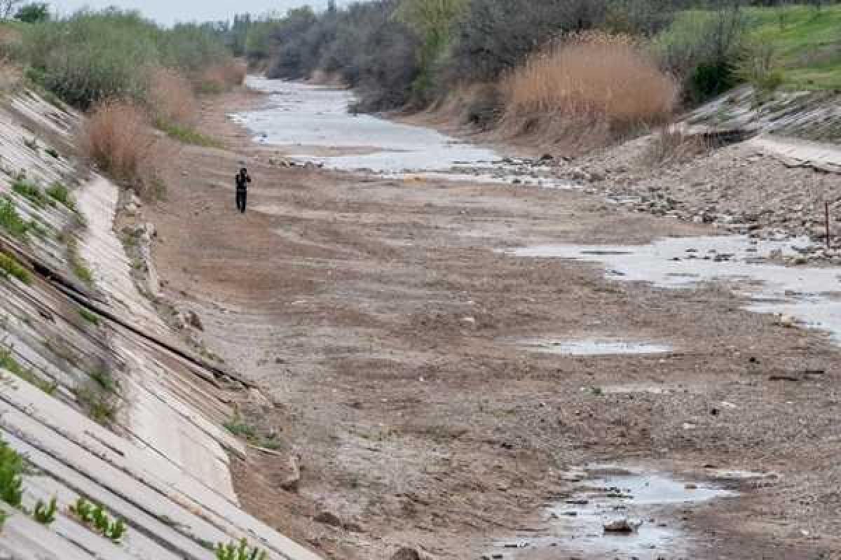 В Крыму постепенно умирает сельское хозяйство, животноводство и виноделие В Крыму постепенно умирает сельское хозяйство, животноводство и виноделие