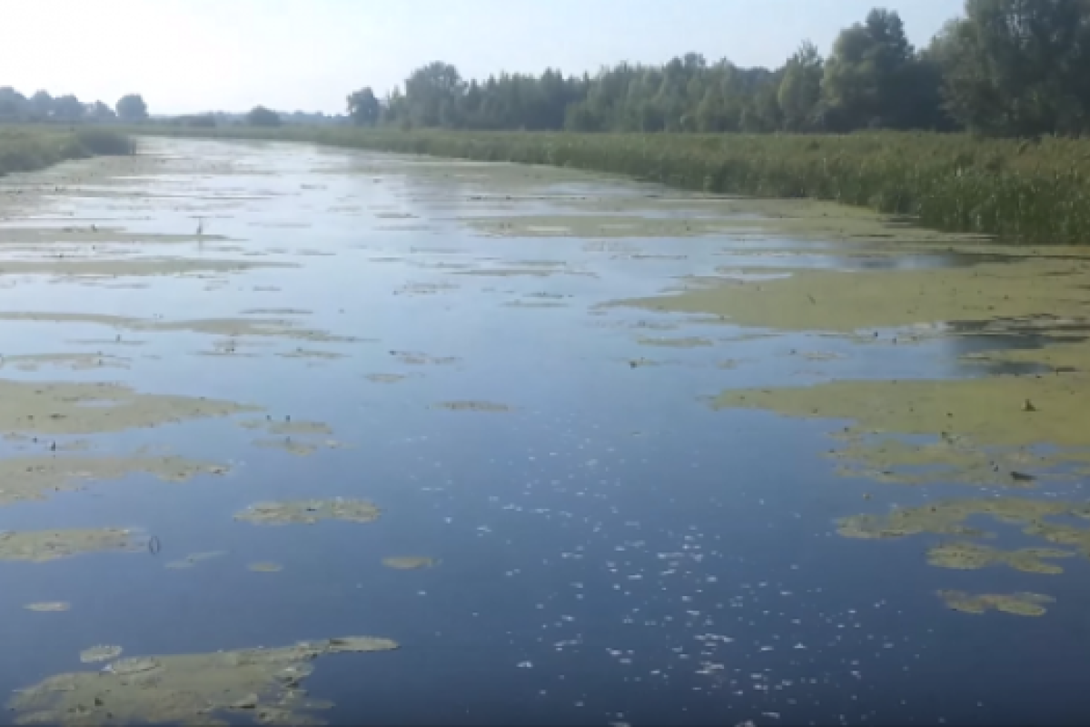 В реке Остер запретили купаться и ловить рыбу В реке Остер запретили купаться и ловить рыбу