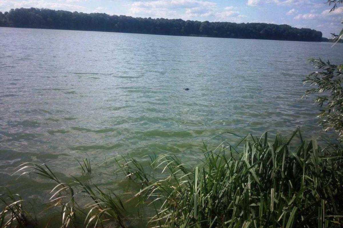 На Черкасчине водолазы-спасатели достали из воды тела двух утопленников На Черкасчине водолазы-спасатели достали из воды тела двух утопленников