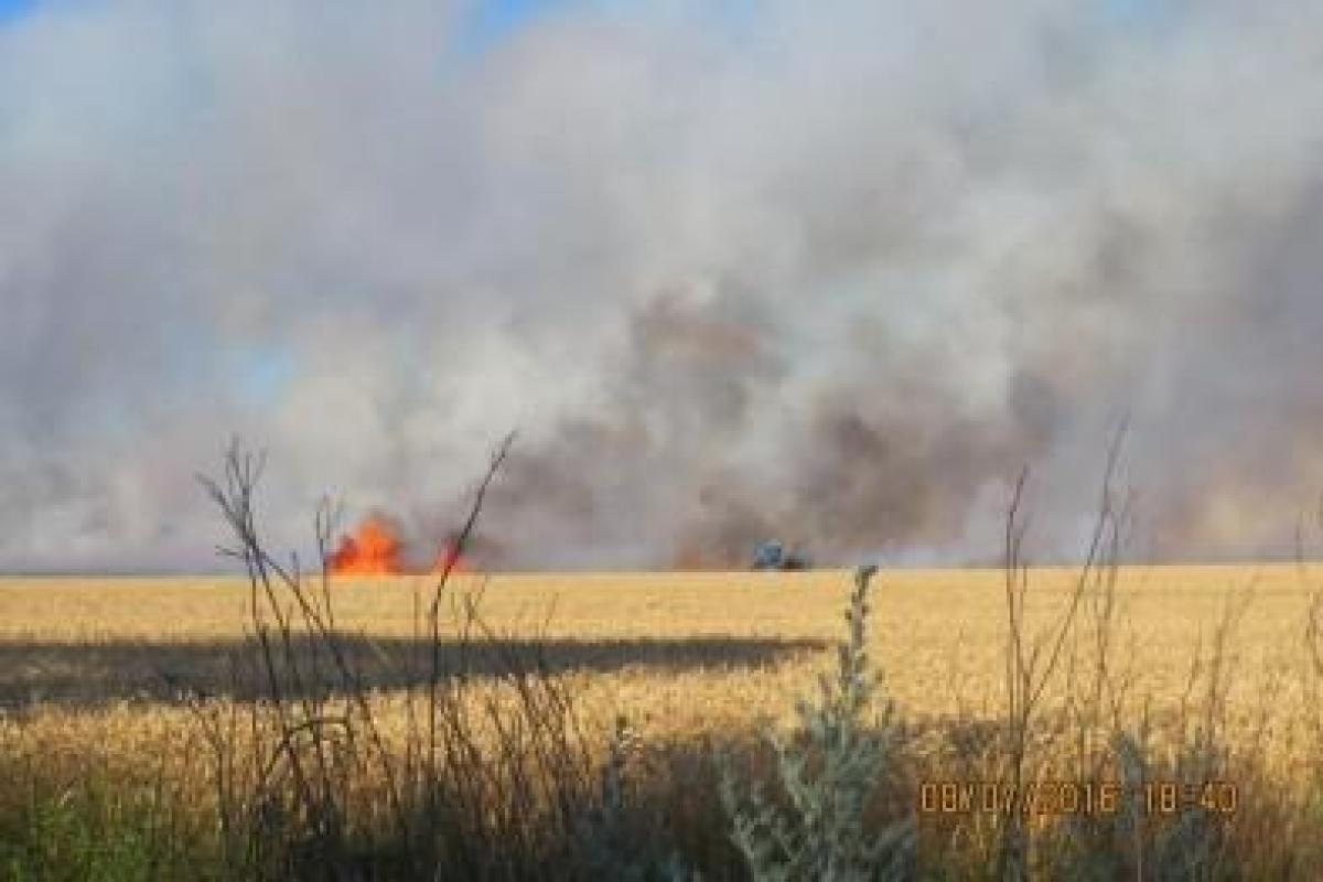 Под Мариуполем поля пшеницы охватил огонь Под Мариуполем поля пшеницы охватил огонь