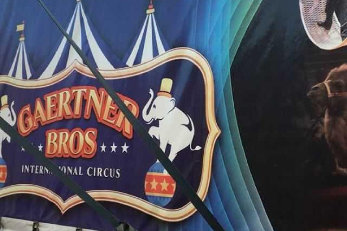 Балерина Анастасия Волочкова выступает на арене цирка-шапито Балерина Анастасия Волочкова выступает на арене цирка-шапито