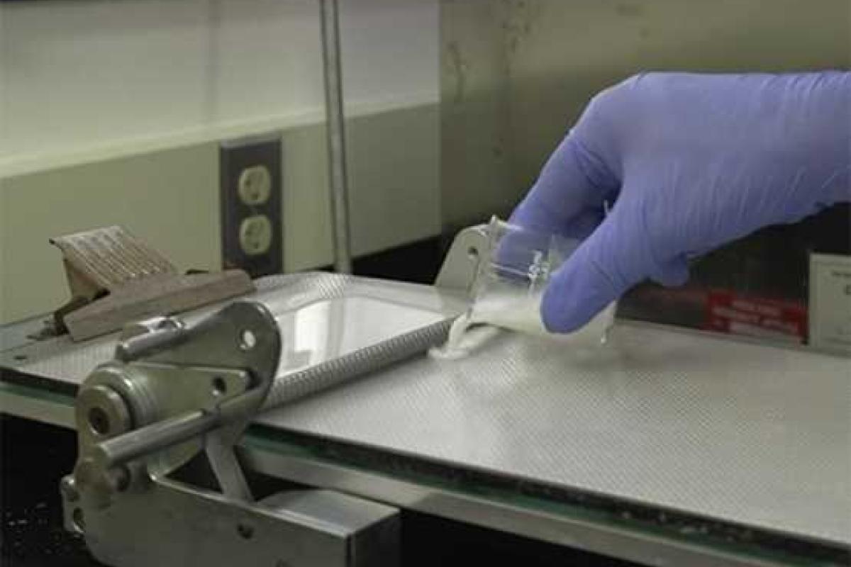 В США ученые создали съедобную упаковочную пленку для продуктов В США ученые создали съедобную упаковочную пленку для продуктов