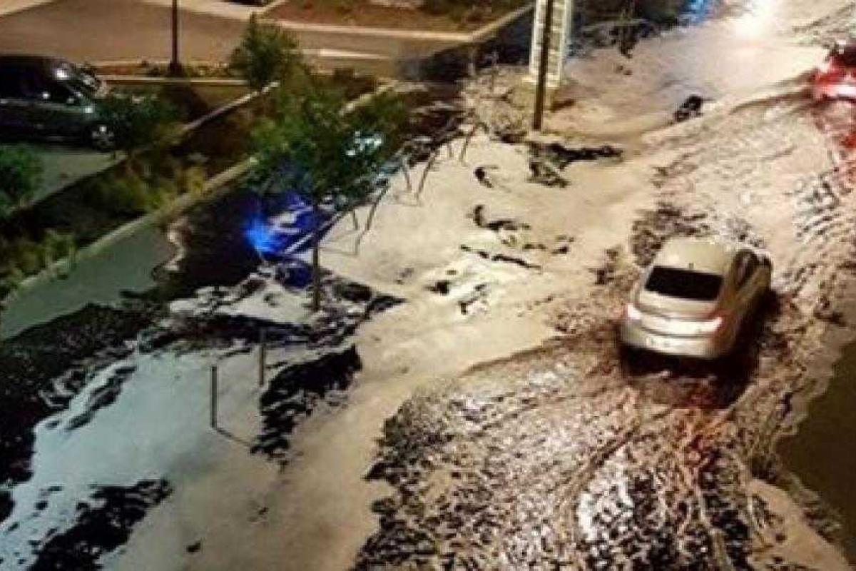 Улицы французского города Сете утопают в вине Улицы французского города Сете утопают в вине