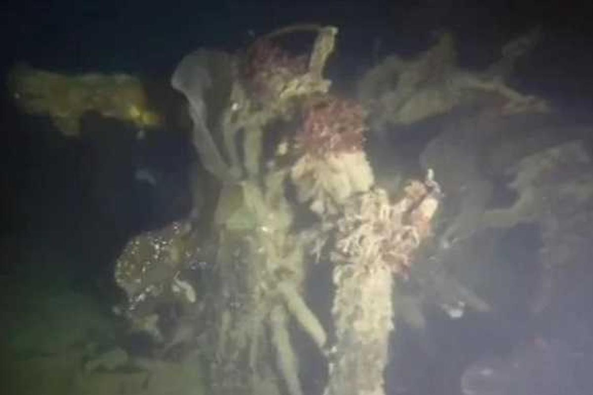 В Арктике исследователи обнаружили затонувший легендарный корабль Франклина В Арктике исследователи обнаружили затонувший легендарный корабль Франклина