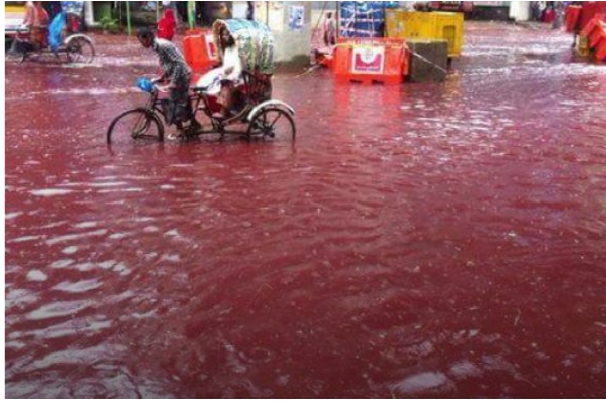 В столице Бангладеш после массового забоя животных по улицам города бегут кровавые реки В столице Бангладеш после массового забоя животных по улицам города бегут кровавые реки