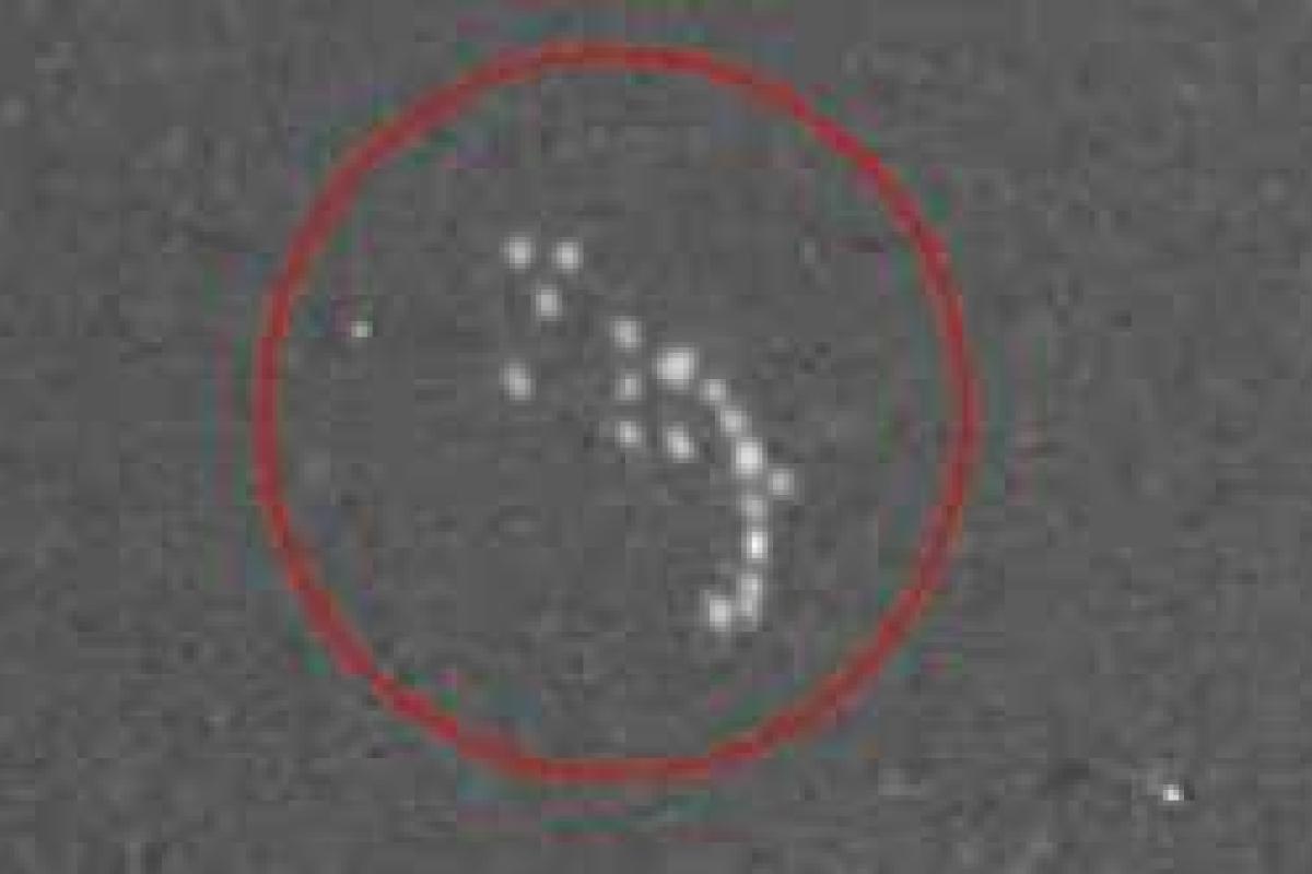 В сети MUFON опубликовано видео полета целой флотилии НЛО В сети MUFON опубликовано видео полета целой флотилии НЛО