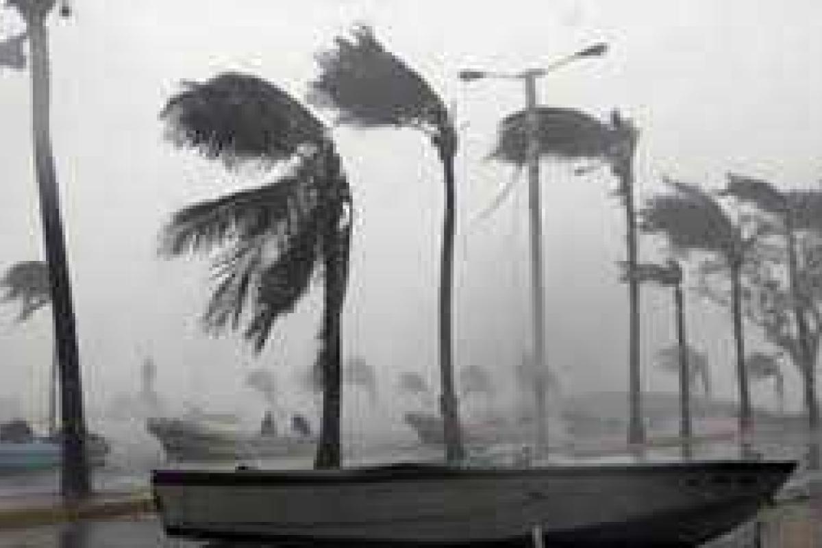 В штате Флорида бушует мощный ураган Эрмина В штате Флорида бушует мощный ураган Эрмина