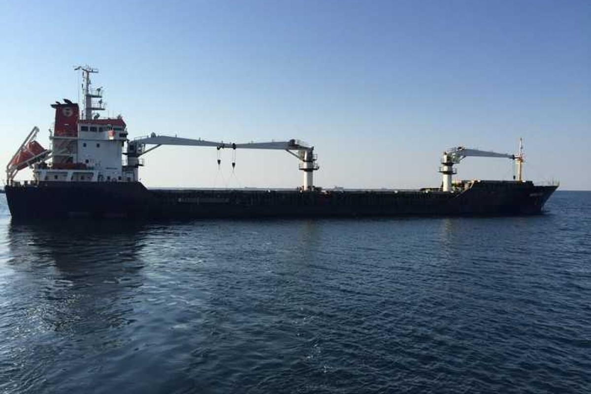 В сети появились кадры спецоперации по освобождения заложников на турецком судне В сети появились кадры спецоперации по освобождения заложников на турецком судне