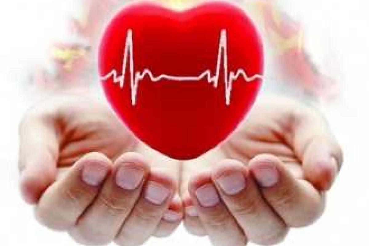 Сегодня во многих странах мира отмечают День Сердца
