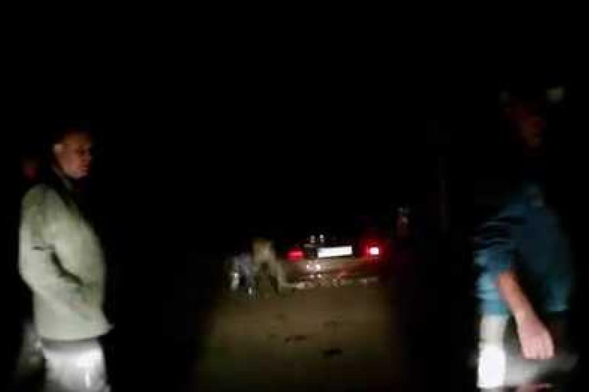 В Закарпатье банда совершила дерзкий налет на свадебный кортеж