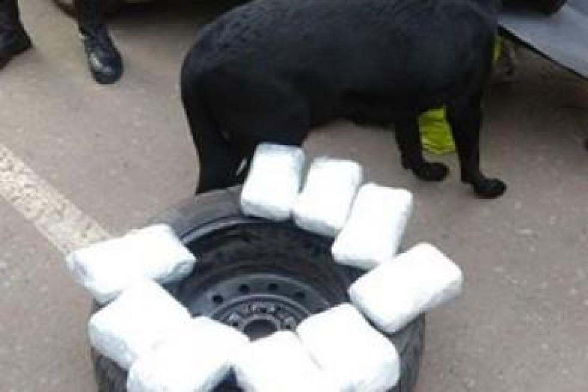 В КПВВ "Майорське" прикордонники затримали автомобіль "Nissan" з марихуаною в запасному колесі