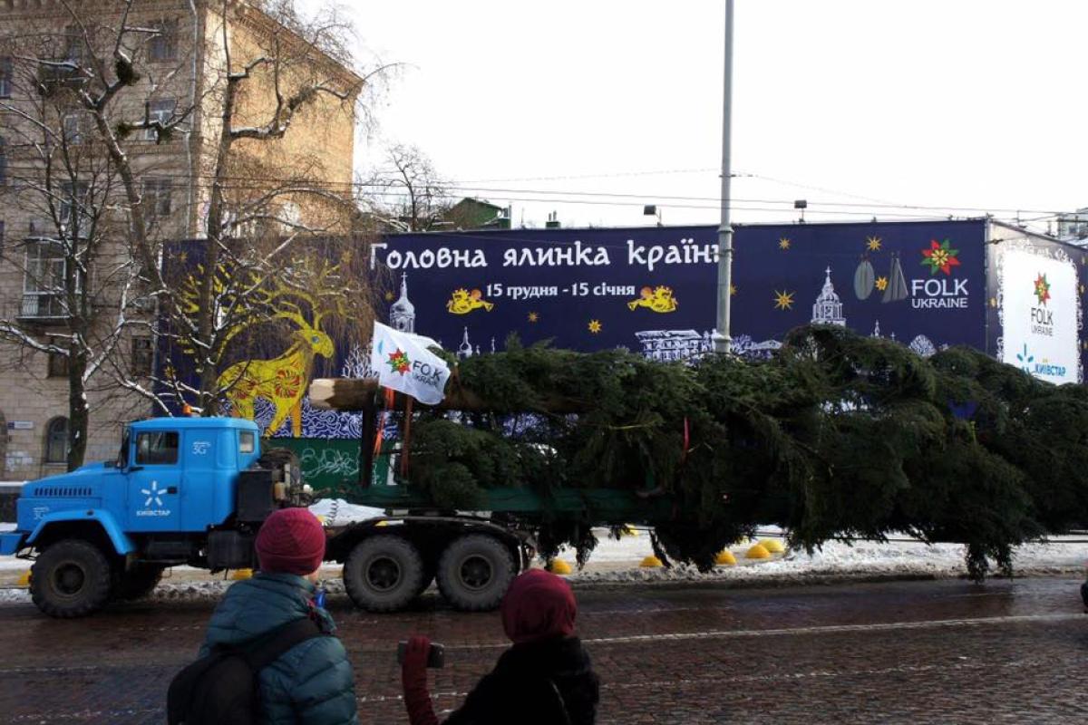 В Киеве на Софийской площади установили главную елку страны