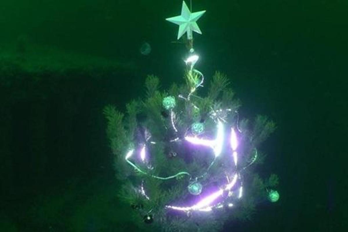 На дне Одесского залива дайверы установили новогоднюю елку На дне Одесского залива дайверы установили новогоднюю елку