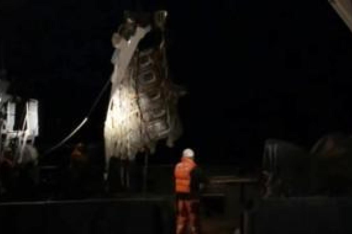 В сеть попало видео подъема обломков самолета Ту-154 со дна Черного моря В сеть попало видео подъема обломков самолета Ту-154 со дна Черного моря