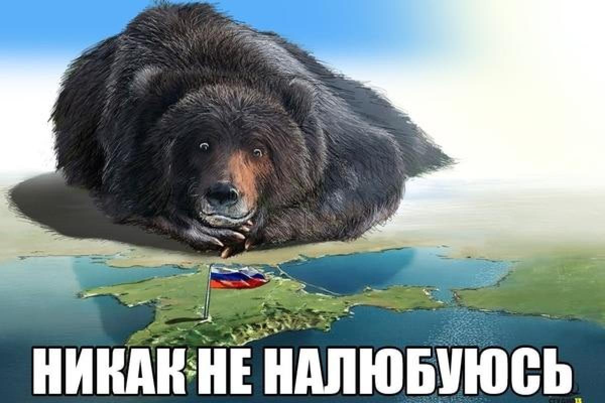 Тверской: Никогда не пойму и не приму преступного и неадекватного поведения россиян по отношению к Крыму Тверской: Никогда не пойму и не приму преступного и неадекватного поведения россиян по отношению к Крыму