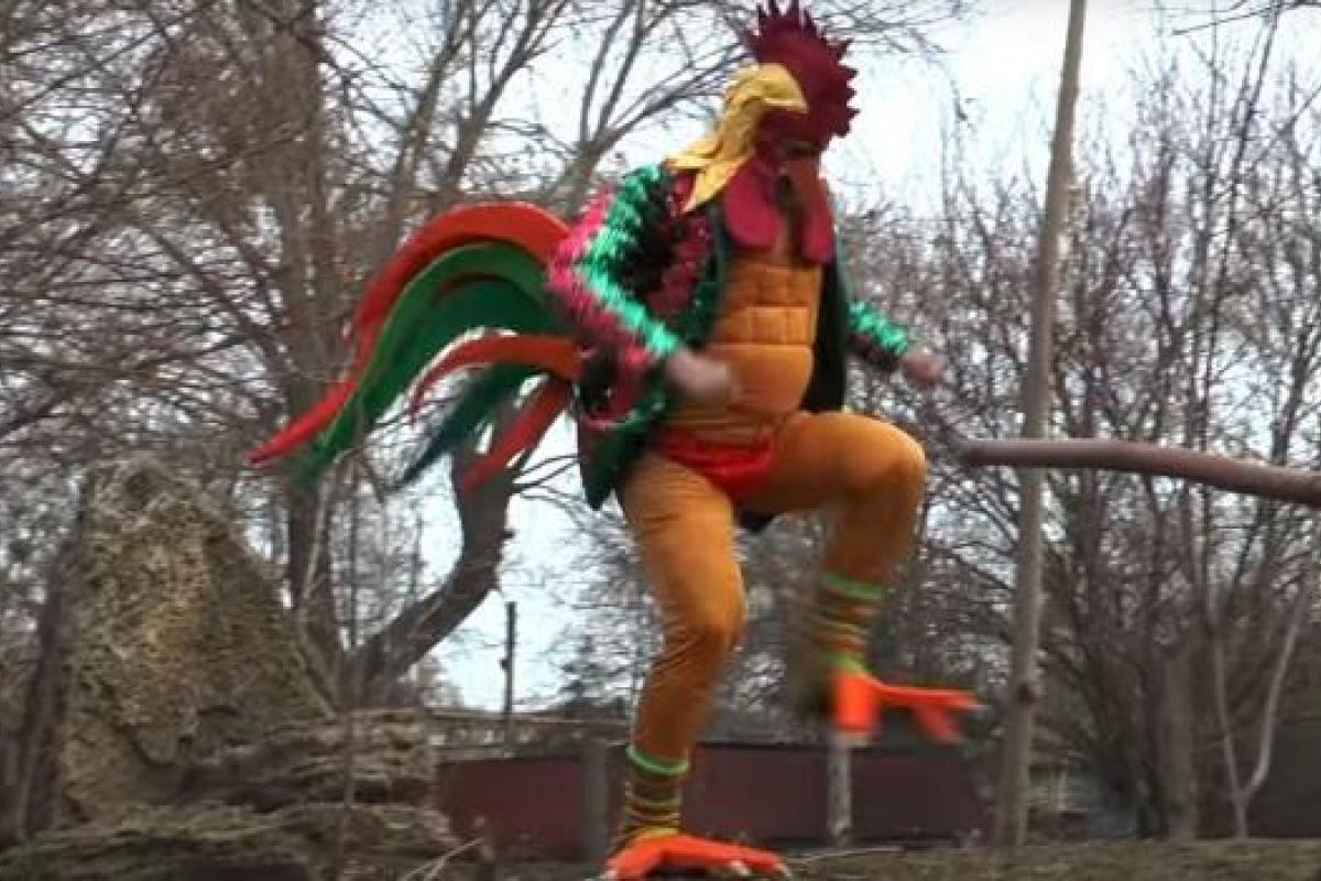 В сеть попало поздравление с Новым годом от креативного директора одесского зоопарка В сеть попало поздравление с Новым годом от креативного директора одесского зоопарка