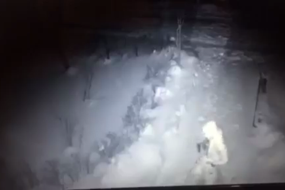 В Харькове совершено дерзкое разбойное нападение на патрульного полицейского В Харькове совершено дерзкое разбойное нападение на патрульного полицейского