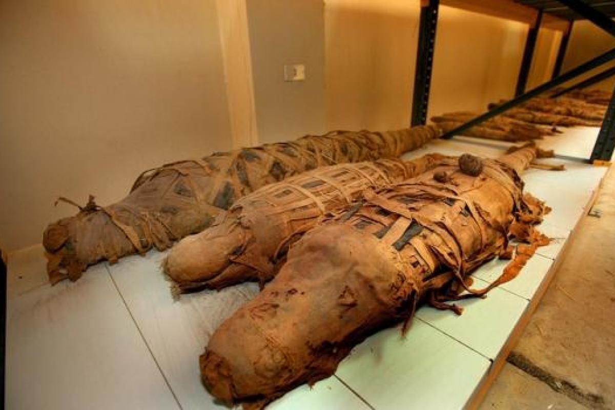 В Египте археологи обнаружили мумию огромного крокодила
