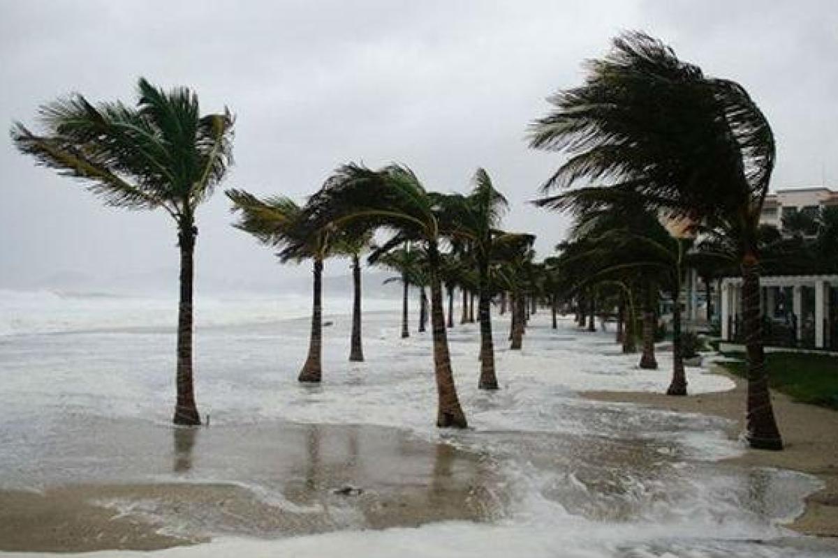 В Калифорнии бушует сильный шторм: отменены сотни авиарейсов, есть погибшие