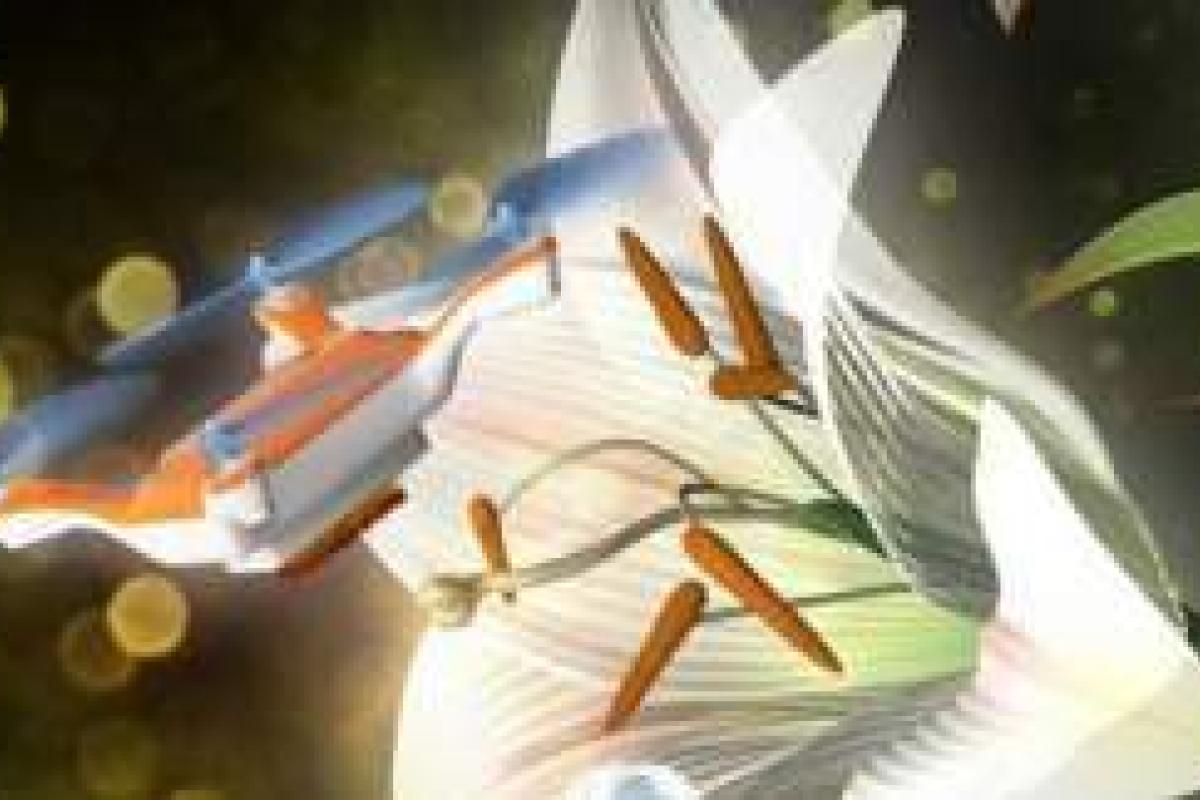 В Японии ученые создали пчел-дронов для опыления В Японии ученые создали пчел-дронов для опыления