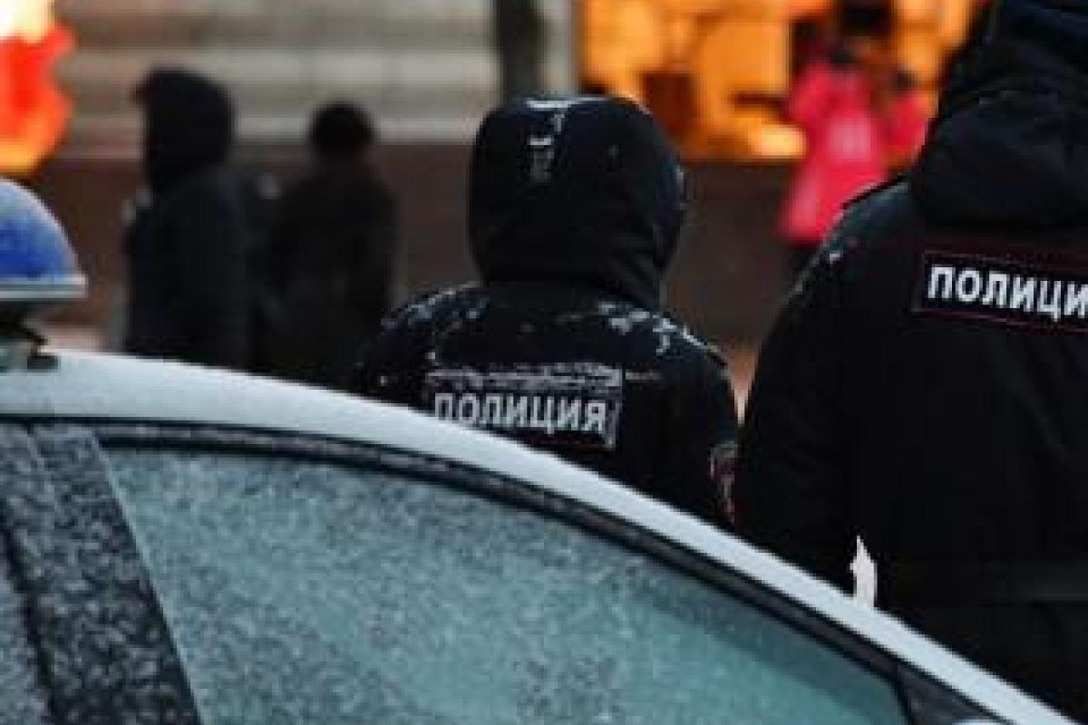 В Питере полицейские пытались поймать дикого оленя, люди шутят: Хотели оштрафовать за нарушение ПДД