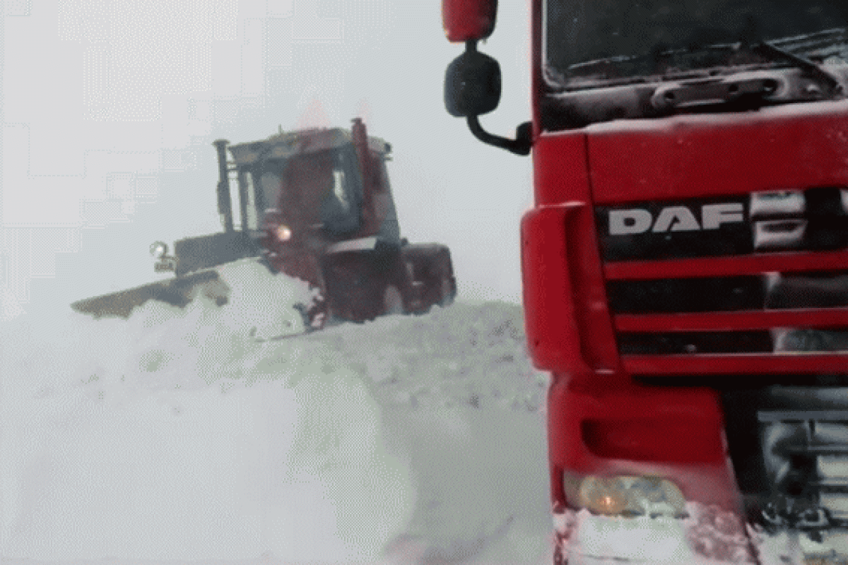 На Луганщину обрушилась непогода: сильный ветер и снегопад, плохая видимость на дорогах