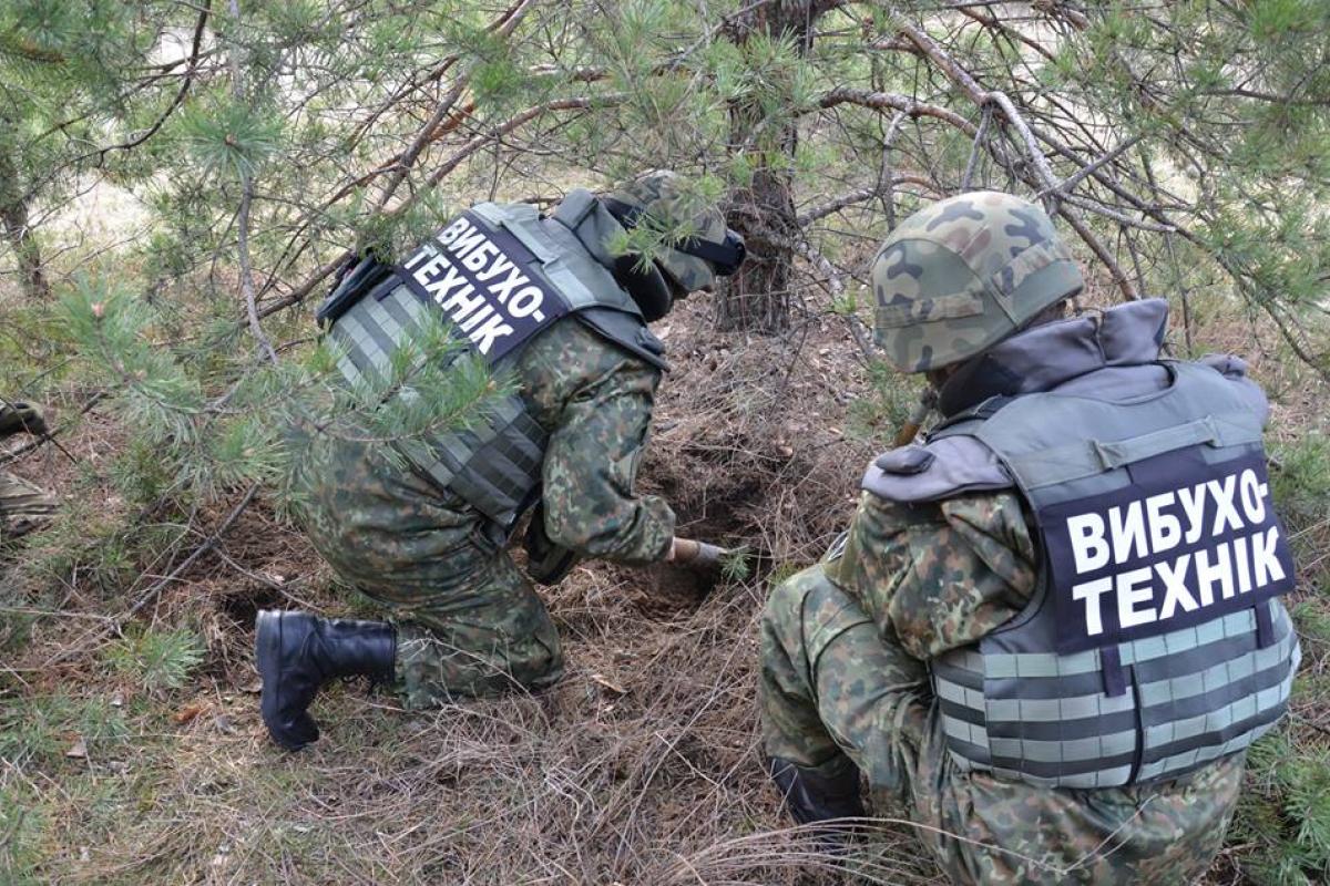 В Луганской области силовики обнаружили в лесу два схрона боевиков