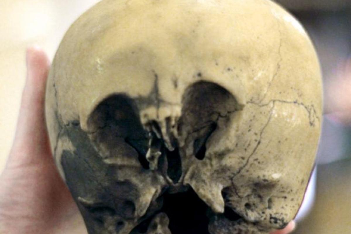 Ученые считают, что череп "звездного" ребенка из Мексики доказывает существование внеземной жизни
