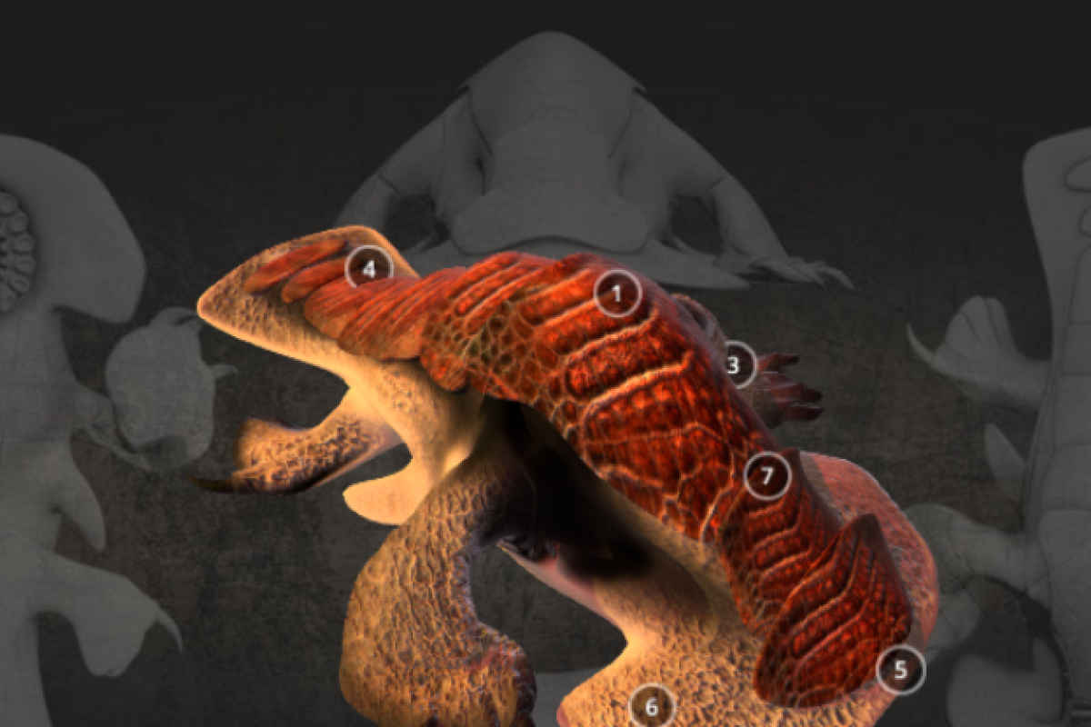 Ученые показали, как могут выглядеть внеземные существа на планетах, открытых NASA