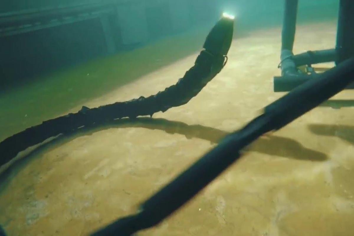 В Норвегии приступили к испытаниям робота-змеи для подводных работ