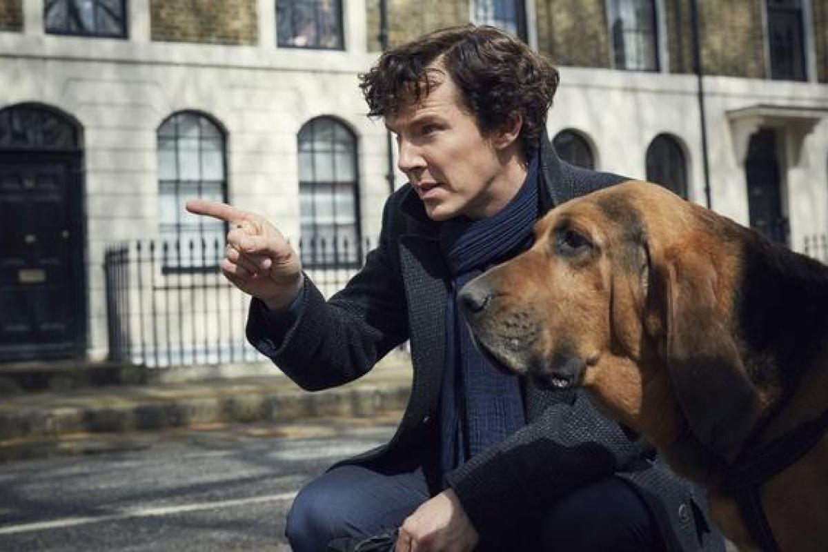 Британский актер Бенедикт Камбербэтч во второй раз стал отцом Британский актер Бенедикт Камбербэтч во второй раз стал отцом