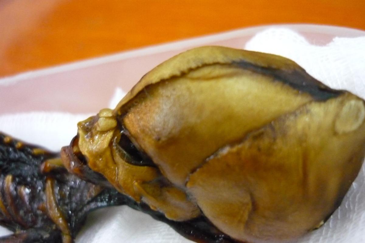 Уфологи уверены, что останки, обнаруженные в пустыне Атакама, принадлежат инопланетному существу Уфологи уверены, что останки, обнаруженные в пустыне Атакама, принадлежат инопланетному существу