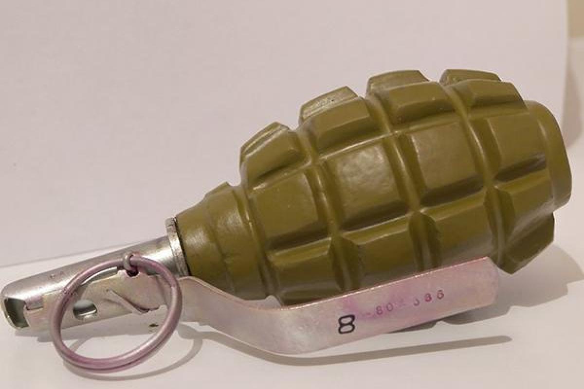 В Мариуполе на территории школы была обнаружена граната