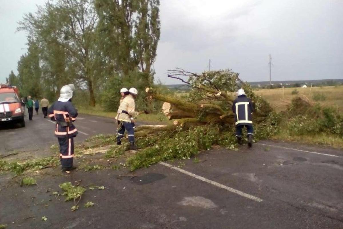 На Ровенщине из-за урагана было заблокировано 11 км дороги