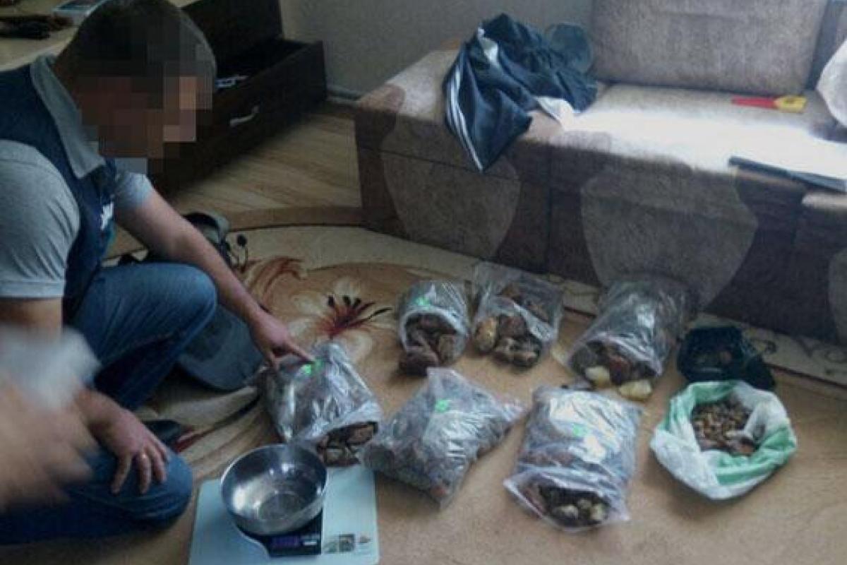 На Волыни правоохранители изъяли незаконно добытого янтаря на миллион гривен На Волыни правоохранители изъяли незаконно добытого янтаря на миллион гривен