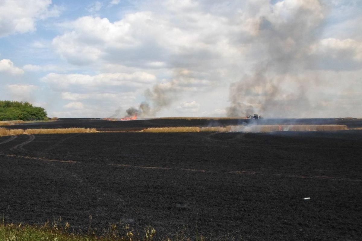 В Донецкой области пожар уничтожил более 60 га пшеницы
