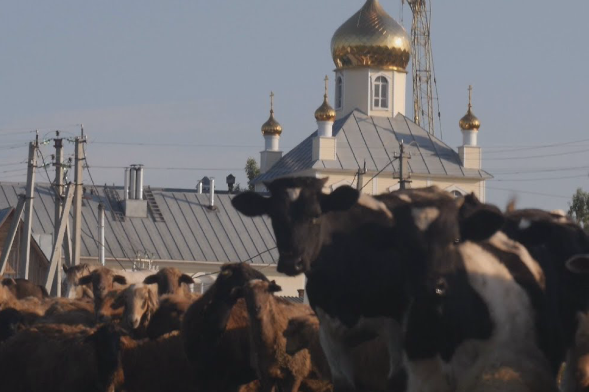 Журналисты решили узнать, интересует ли жителей сибирской глубинки, что происходит в Москве