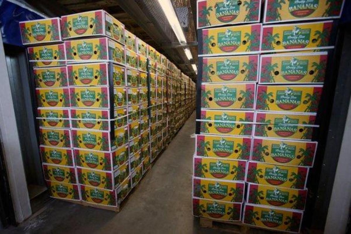 В Испании задержали партию колумбийского кокаина стоимостью 210 млн евро В Испании задержали партию колумбийского кокаина стоимостью 210 млн евро