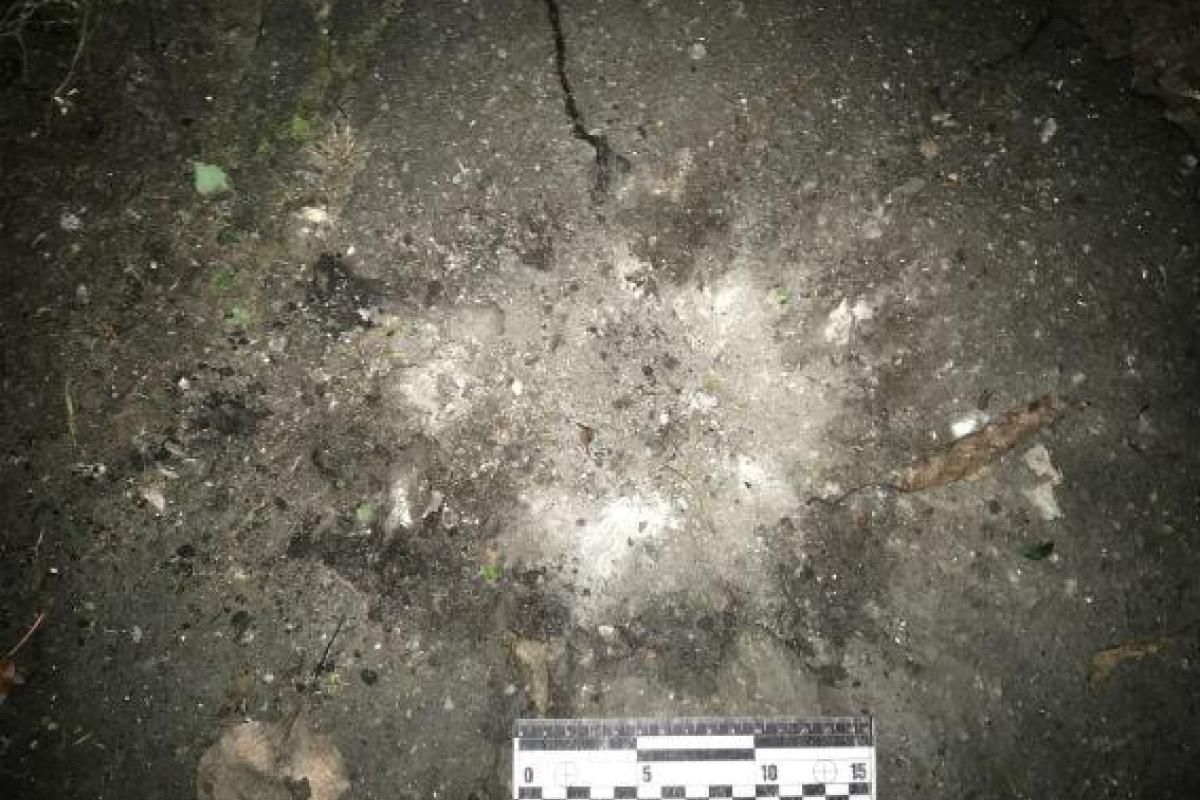 В Одесской области неизвестные метнули гранату во двор частного дома В Одесской области неизвестные метнули гранату во двор частного дома