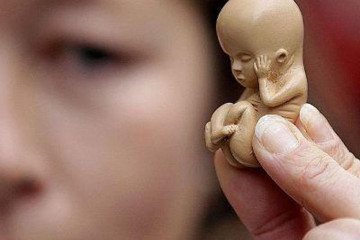 В Ирландии планируют провести референдум касательно абортов В Ирландии планируют провести референдум касательно абортов