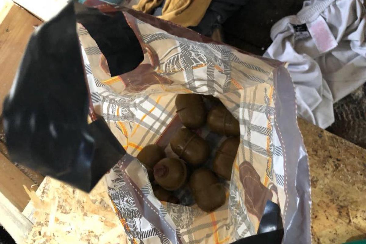 В палаточном городке под ВР найдены гранаты и "коктейли Молотова" - Шкиряк В палаточном городке под ВР найдены гранаты и "коктейли Молотова" - Шкиряк
