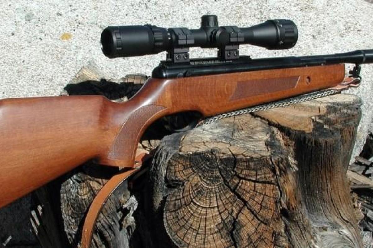 На Львовщине 10-летний мальчик ранил из пневматической винтовки свою 8-летнюю сестру На Львовщине 10-летний мальчик ранил из пневматической винтовки свою 8-летнюю сестру