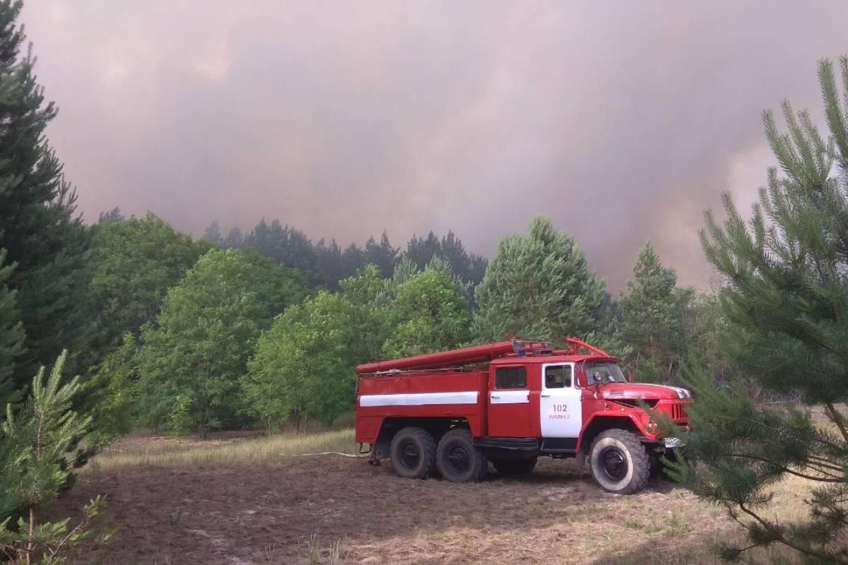 Лесной пожар в зоне ЧАЭС: на месте возгорания найдены факелы, полиция проверяет версию о поджоге Лесной пожар в зоне ЧАЭС: на месте возгорания найдены факелы, полиция проверяет версию о поджоге