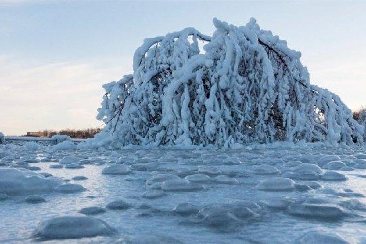 В США экстремальные морозы сковали льдом Ниагарский водопад В США экстремальные морозы сковали льдом Ниагарский водопад