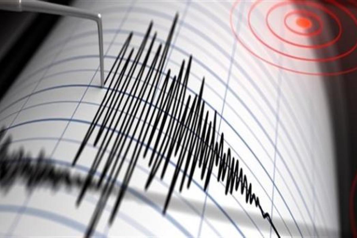 В Турции зафиксировано сильное землетрясение
